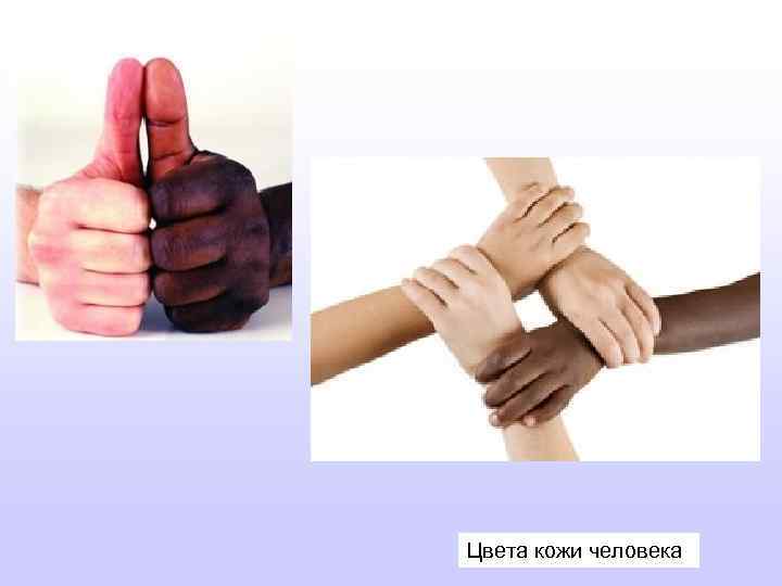 Цвета кожи человека 