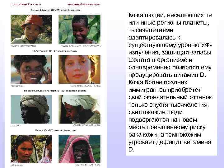 Кожа людей, населяющих те или иные регионы планеты, тысячелетиями адаптировалась к существующему уровню УФизлучения,