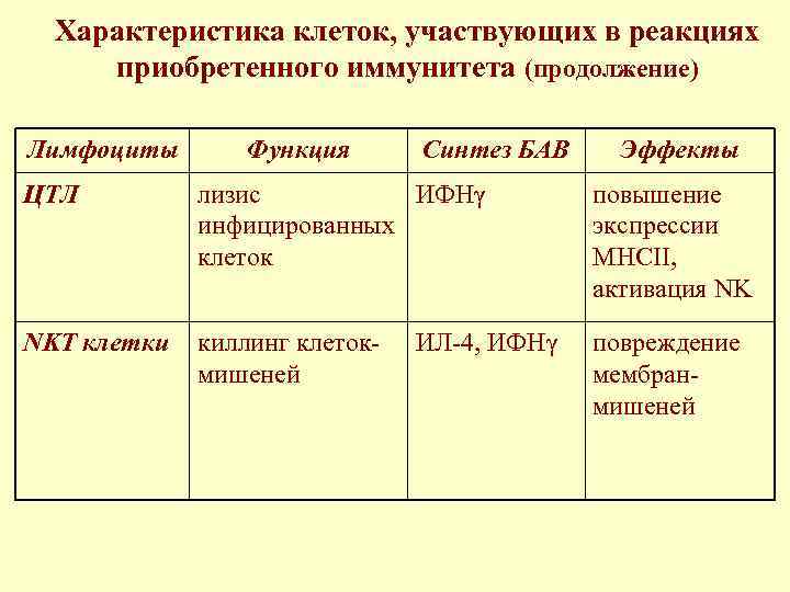 Характеристика клеток, участвующих в реакциях приобретенного иммунитета (продолжение) Лимфоциты Функция Синтез БАВ Эффекты ЦТЛ