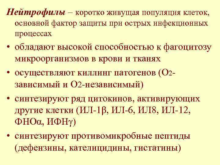 Нейтрофилы – коротко живущая популяция клеток, основной фактор защиты при острых инфекционных процессах •