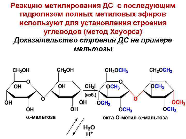 Реакцию метилирования ДС с последующим гидролизом полных метиловых эфиров используют для установления строения углеводов