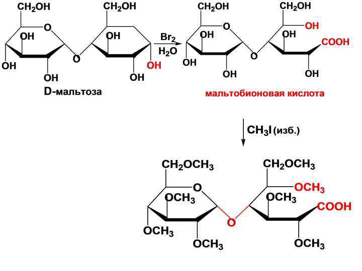 Гидролиз гидроксида меди 2. Реакция окисления мальтозы. Гидролиз мальтозы формула. Мальтоза + ch3cocl. Метилирование диметилсульфатом.