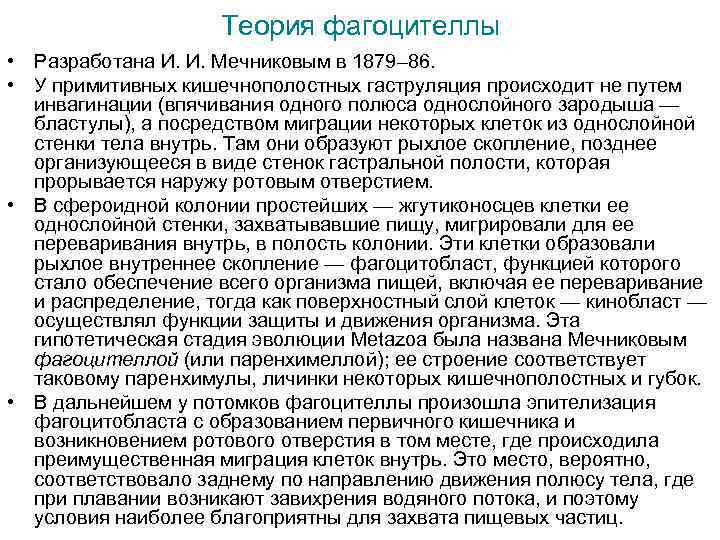Теория фагоцителлы • Разработана И. И. Мечниковым в 1879– 86. • У примитивных кишечнополостных