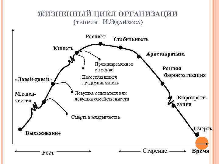 Как правильно трактовать зубчики на схеме адизеса перед этапами младенчество бюрократизация и юность