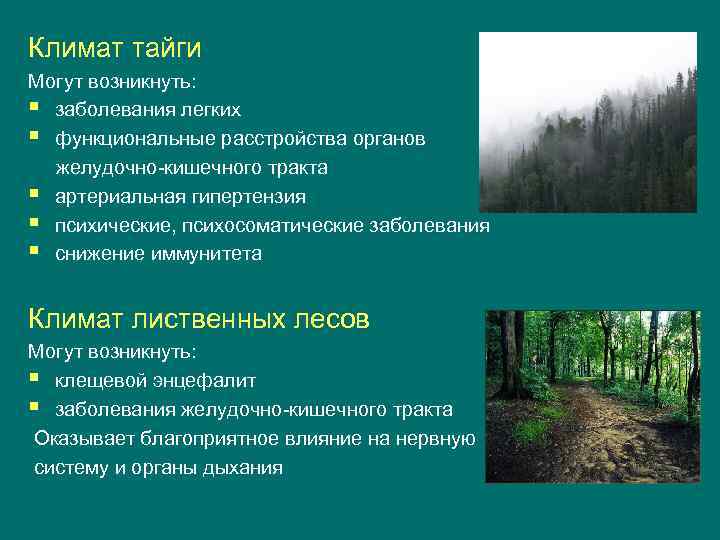 Климат тайги Могут возникнуть: § заболевания легких § функциональные расстройства органов желудочно-кишечного тракта §