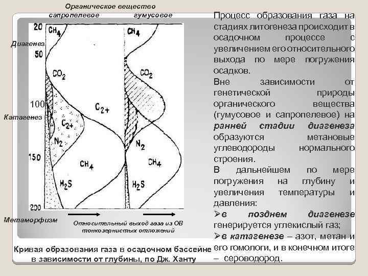Органическое вещество сапропелевое гумусовое Процесс образования газа на стадиях литогенеза происходит в осадочном процессе