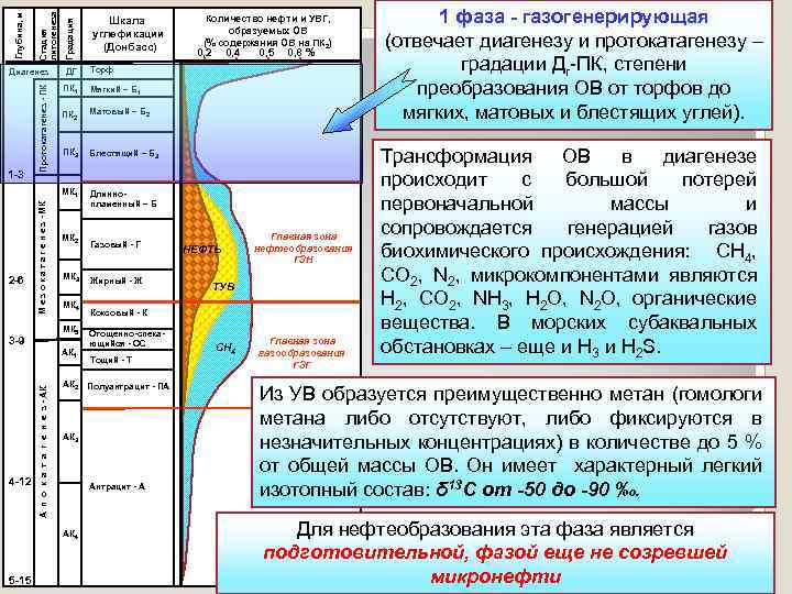 Градация Стадия литогенеза Количество нефти и УВГ, образуемых ОВ (% содержания ОВ на ПК