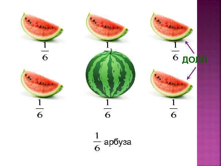 ДОЛЯ арбуза 