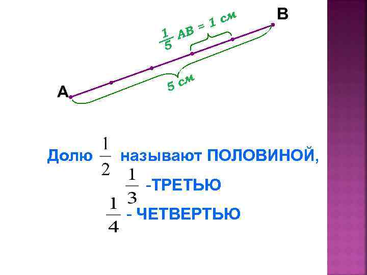 м 1 с = 1 АВ 5 А Долю В см 5 называют ПОЛОВИНОЙ,