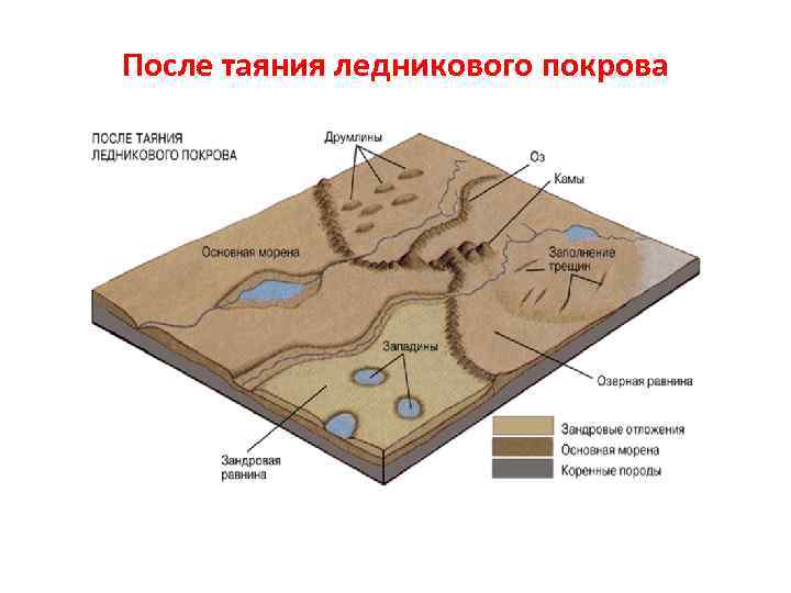  Формы равнинно-ледникового рельефа • Холмисто-западинный рельеф основной морены – рельеф, образованный множеством невысоких