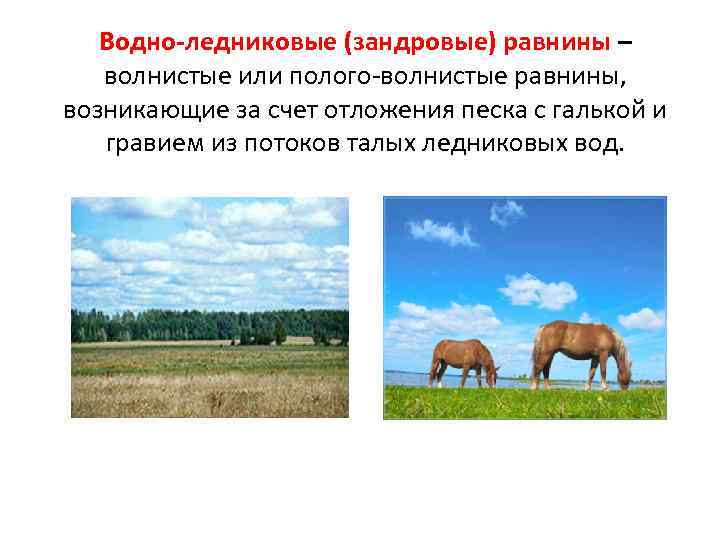 Озерно-ледниковые равнины – плоские равнины, возникшие на месте ледниковых озер за счет отложения мелкозернистого