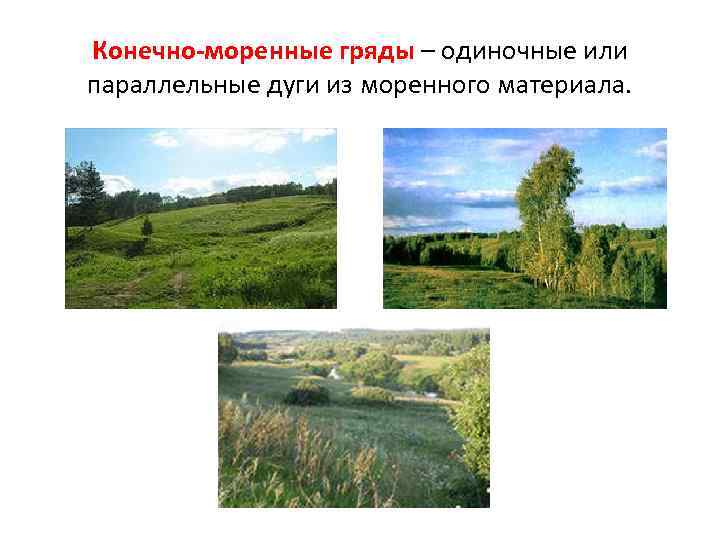  Общая характеристика рельефа области • Область расположена на западе средней части Восточно- Европейской