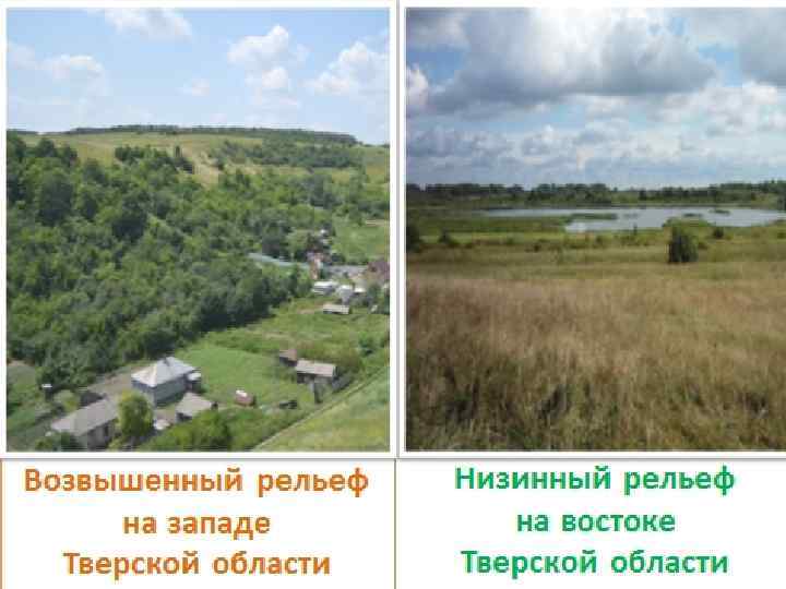  Физическая карта Тверской области На Валдайской возвышенности есть несколько поднятий (выглядят как крупные