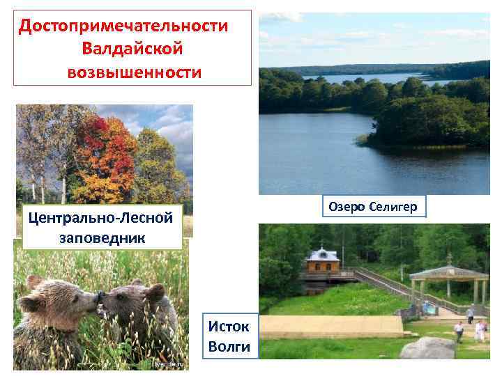  • К востоку от железной дороги Москва-С. Петербург располагается Лихославльс- кая гряда (в