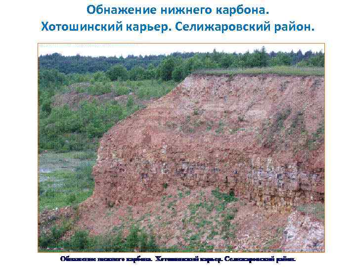  Обнажение нижнего карбона. Хотошинский карьер. Селижаровский район. 