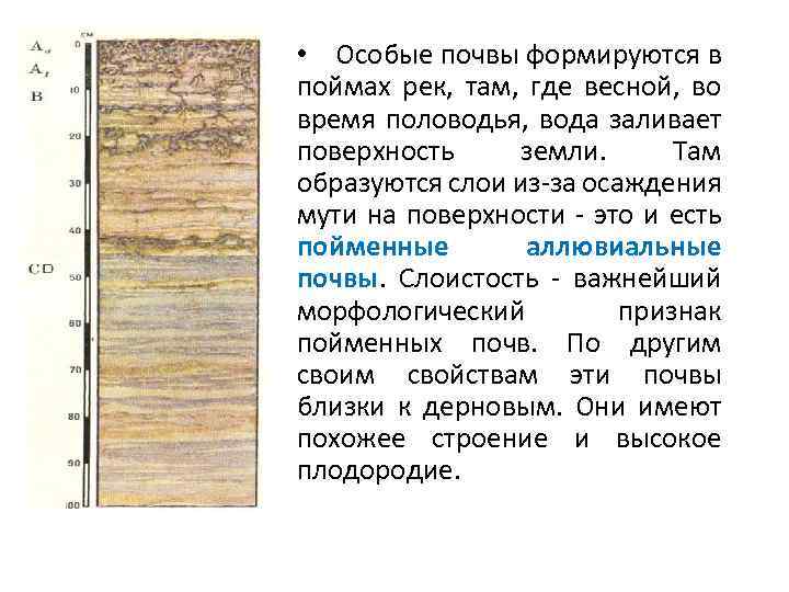 Формирование современной растительности началось после отступления ледника. На освободившуюся ото льда территорию проникали представители
