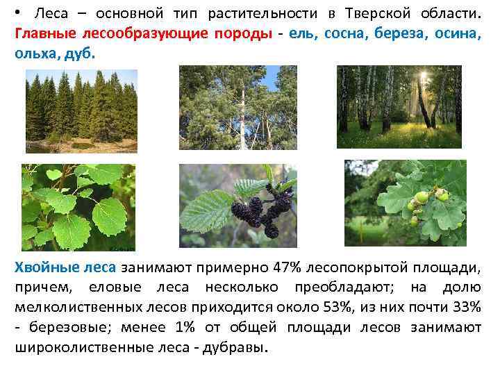  Там, где грунтовые воды находятся близко к поверхности и происходит образование торфа, в
