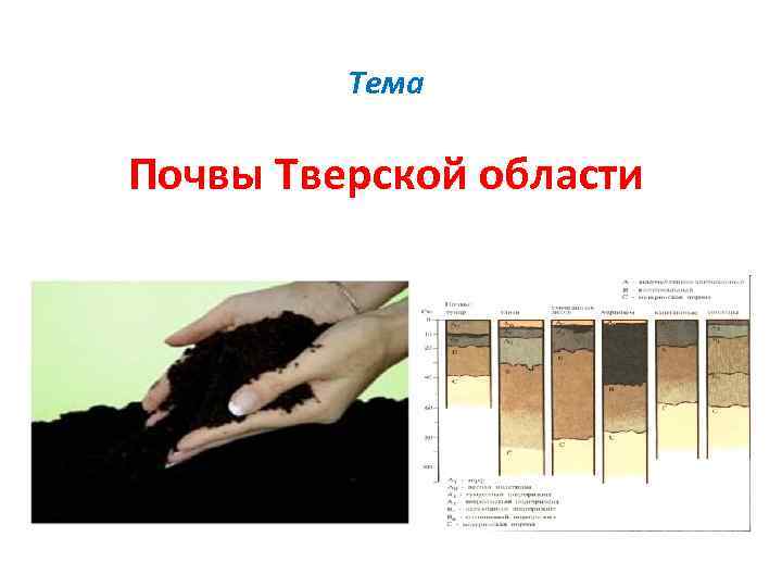 Тема Почвы Тверской области 