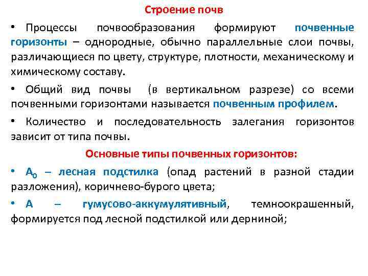 Строение почв • Процессы почвообразования формируют почвенные горизонты – однородные, обычно параллельные слои почвы,