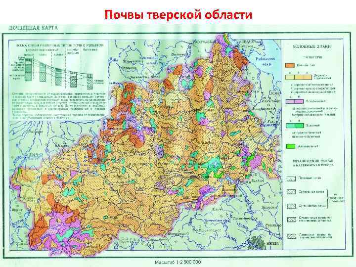 Почвы тверской области 