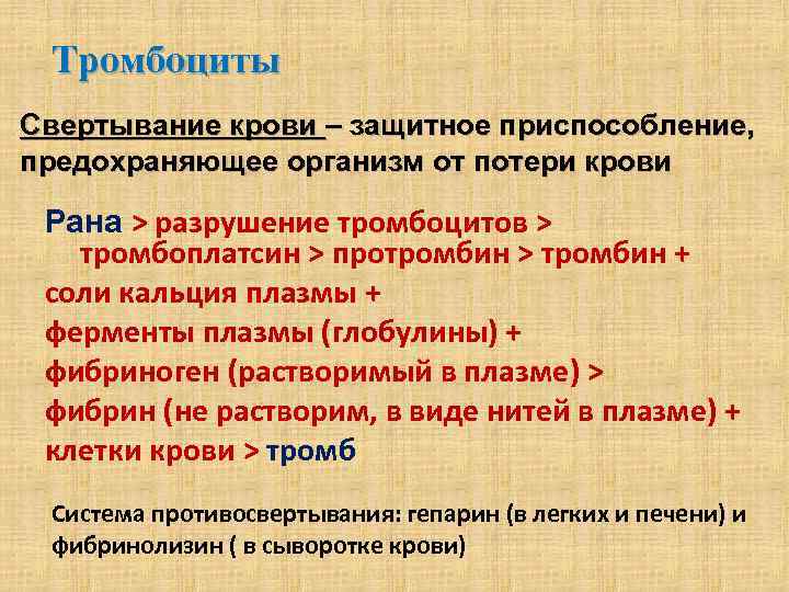 Тромбоциты Свертывание крови – защитное приспособление, предохраняющее организм от потери крови Рана > разрушение