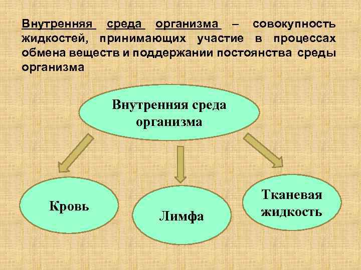 Внутренний доклад