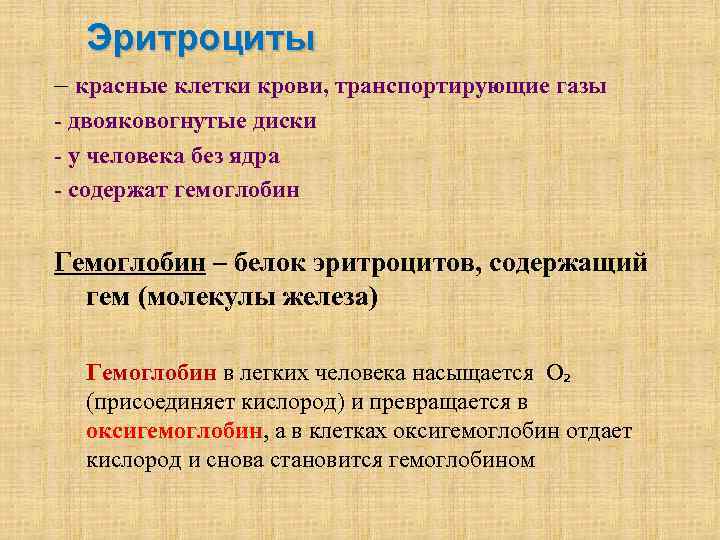 Эритроциты – красные клетки крови, транспортирующие газы - двояковогнутые диски - у человека без