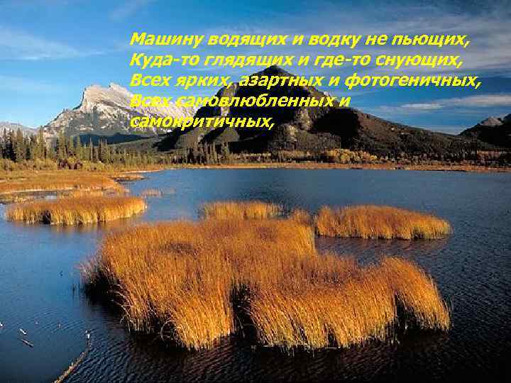 Машину водящих и водку не пьющих, Куда-то глядящих и где-то снующих, Всех ярких, азартных