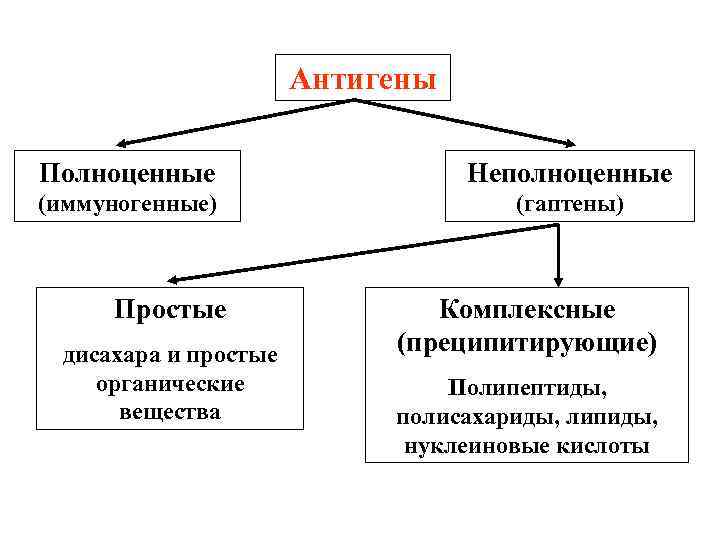 Антигены Полноценные Неполноценные (иммуногенные) (гаптены) Простые дисахара и простые органические вещества Комплексные (преципитирующие) Полипептиды,