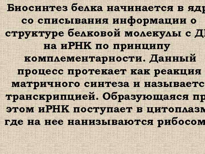 Биосинтез белка начинается в ядр со списывания информации о структуре белковой молекулы с ДН