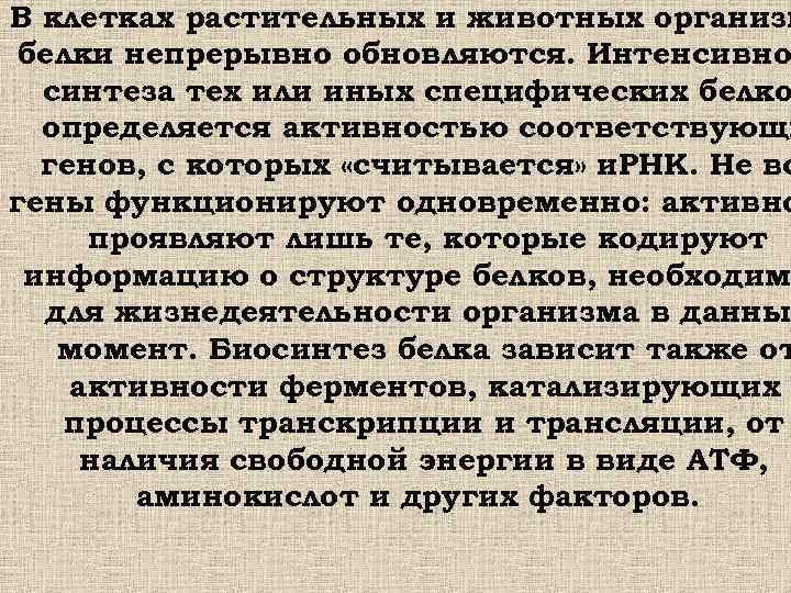 В клетках растительных и животных организм белки непрерывно обновляются. Интенсивно синтеза тех или иных