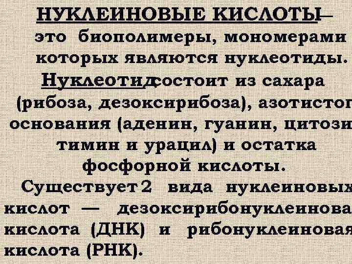 НУКЛЕИНОВЫЕ КИСЛОТЫ — это биополимеры, мономерами которых являются нуклеотиды. Нуклеотид состоит из сахара (рибоза,