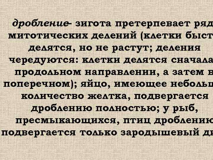  дробление– зигота претерпевает ряд митотических делений (клетки быст делятся, но не растут; деления