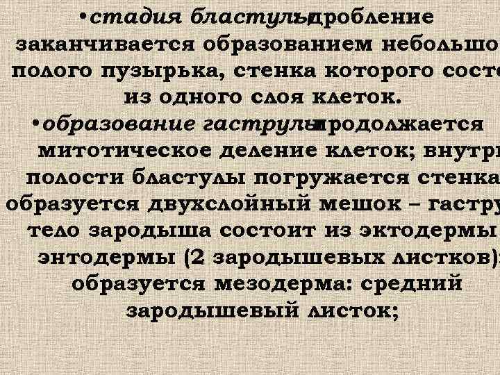  • стадия бластулы : дробление заканчивается образованием небольшог полого пузырька, стенка которого состо