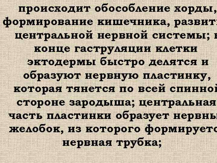  происходит обособление хорды, формирование кишечника, развити центральной нервной системы; в конце гаструляции клетки