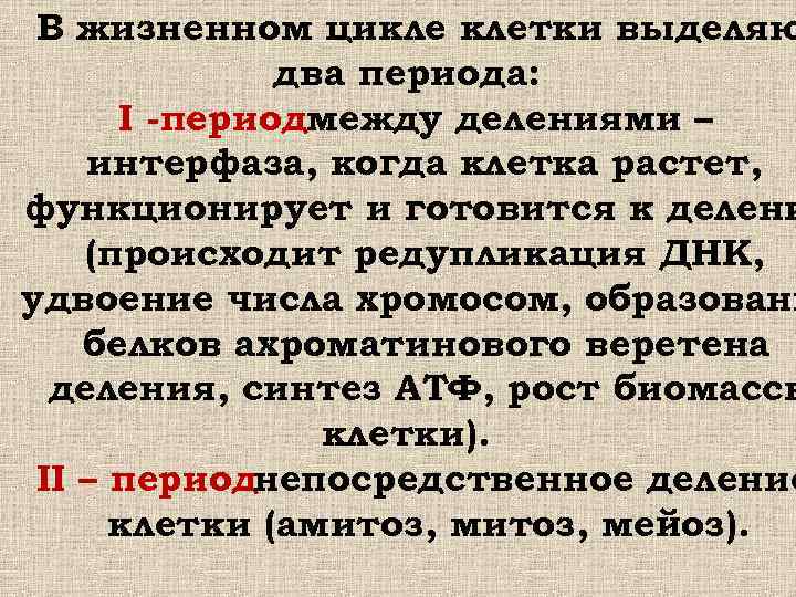  В жизненном цикле клетки выделяю два периода: I -периодмежду делениями – интерфаза, когда