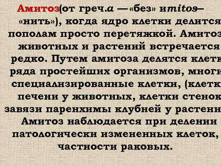  Амитоз(от греч. а — «без» иmitos — «нить» ), когда ядро клетки делится