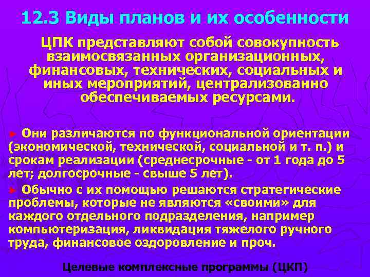 12. 3 Виды планов и их особенности ЦПК представляют собой совокупность взаимосвязанных организационных, финансовых,