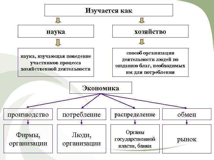 Изучается как наука хозяйство наука, изучающая поведение участников процесса хозяйственной деятельности способ организации деятельности