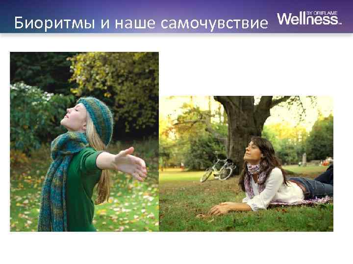 Биоритмы и наше самочувствие 