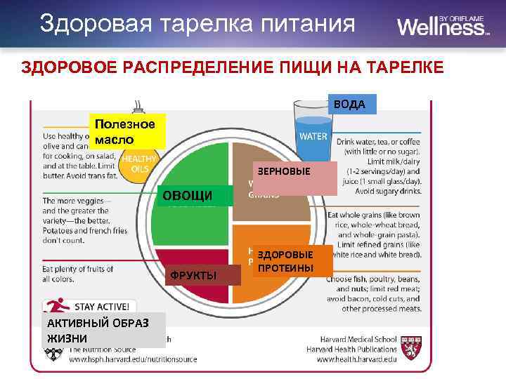 Гарвардская тарелка питания. Гарвардская пищевая тарелка. Гарвардская тарелка здорового. Диета Гарвардская тарелка. Гарвардская модель тарелки.