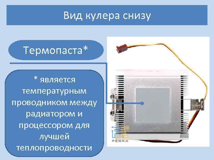 Вид кулера снизу Термопаста* * является температурным проводником между радиатором и процессором для лучшей