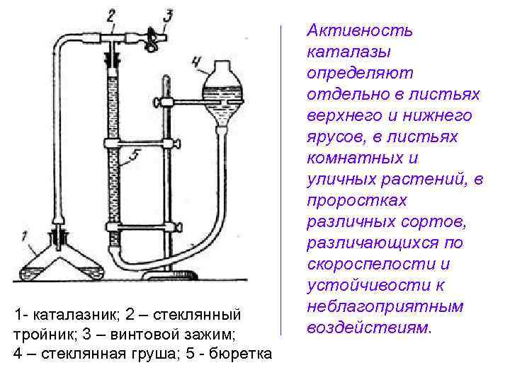 Лабораторная работа активность. Прибор для определения активности каталазы. Газометрический метод определения активности каталазы. Активность каталазы формула. Азотметрический метод анализа.