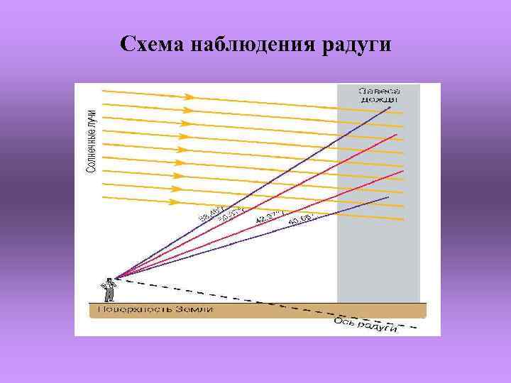 Схема наблюдения радуги 