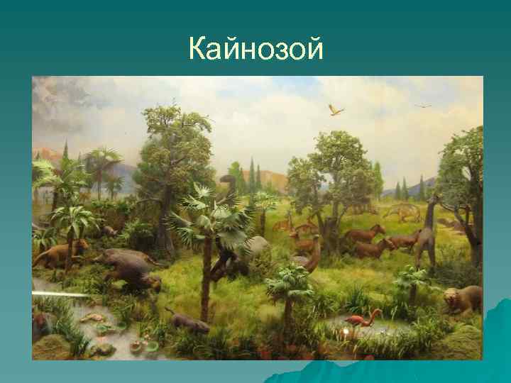 Кайнозой 
