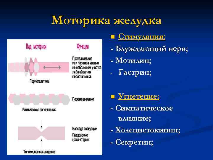 Моторика желудка. Угнетение моторики ЖКТ это. Перистальтика желудка. Моторика желудка в норме. Перистальтика в норме.