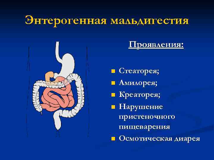 Энтерогенная мальдигестия Проявления: n n n Стеаторея; Амилорея; Креаторея; Нарушение пристеночного пищеварения Осмотическая диарея