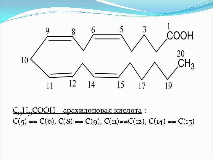 С 19 Н 31 СООН – арахидоновая кислота : С(5) == С(6), С(8) ==
