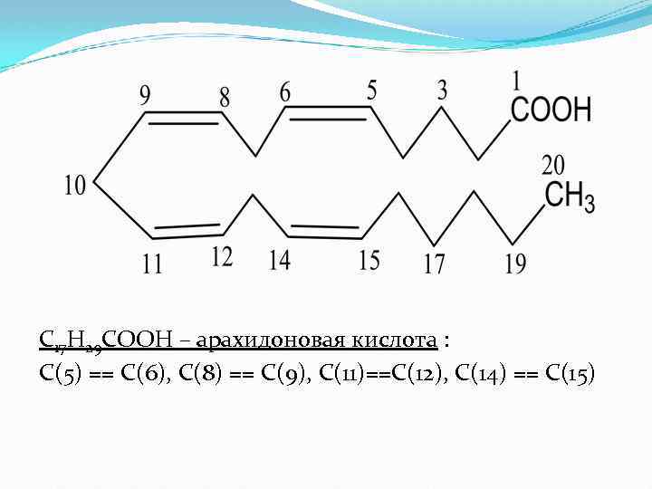 С 17 Н 29 СООН – арахидоновая кислота : С(5) == С(6), С(8) ==