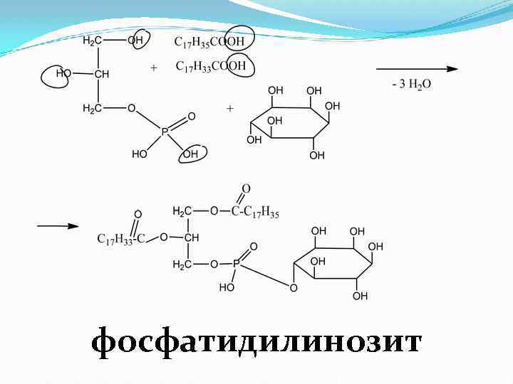 фосфатидилинозит 